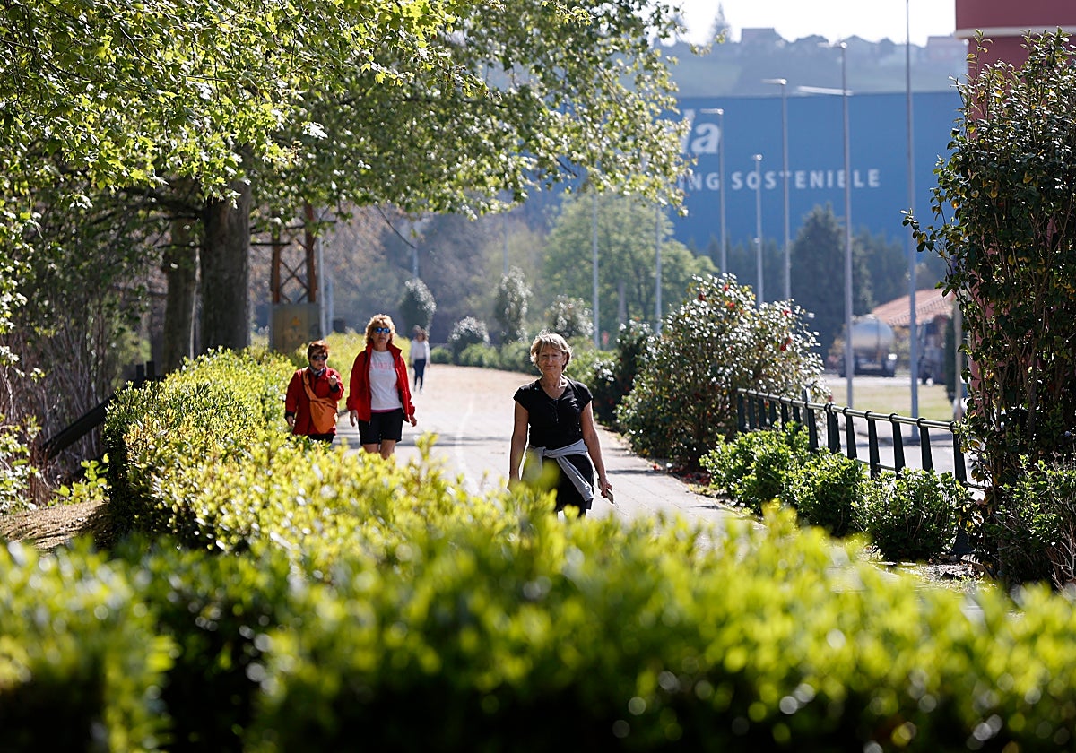 Tramo del Bulevar Ronda por el que discurrirá la vía provisional.