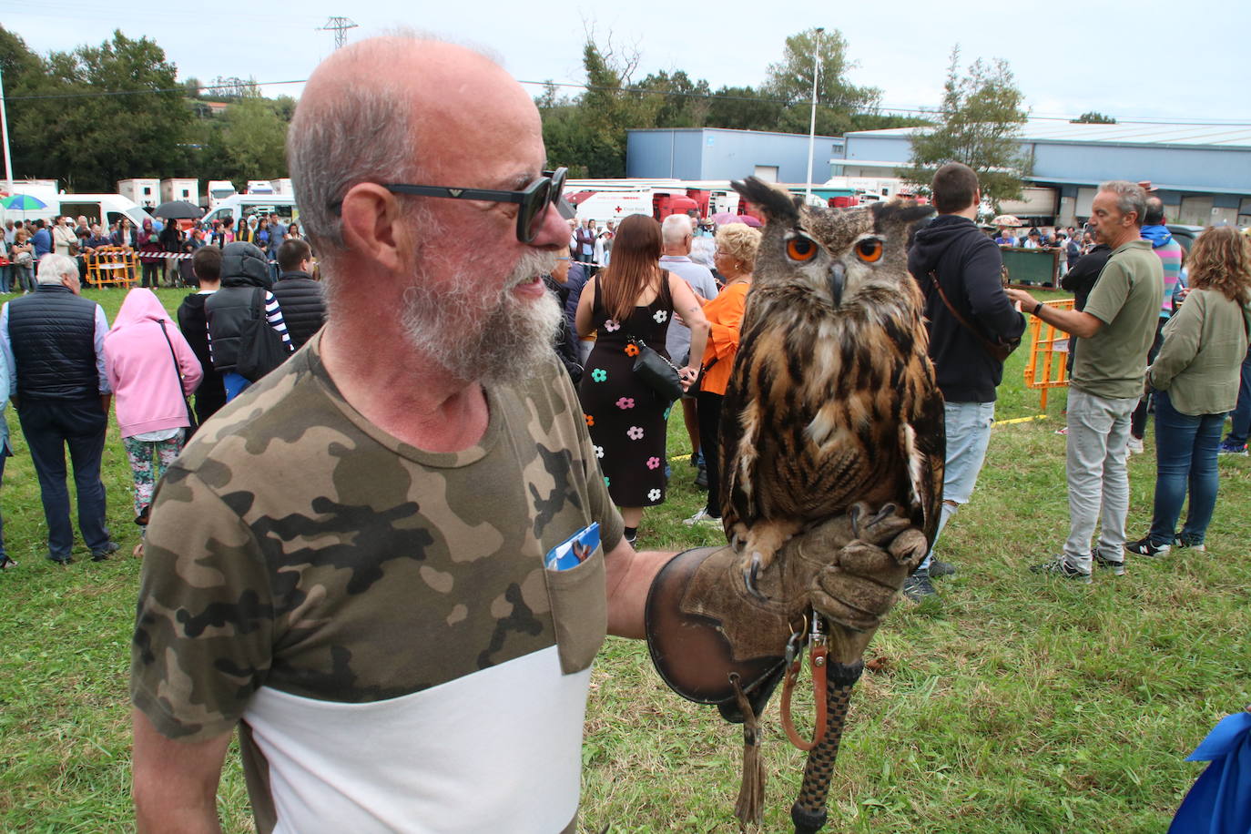 Esta vez la cita matutina, que normalmente gira en torno al ganado, estuvo protagonizada por aves rapaces.