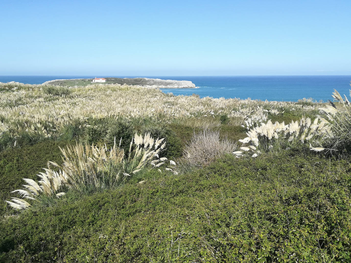 Ciriego. Otra de las próximas actuaciones, cuyo arranque está previsto para este otoño. En esta zona se restaurará el suelo y la vegetación, eliminación de especies invasoras