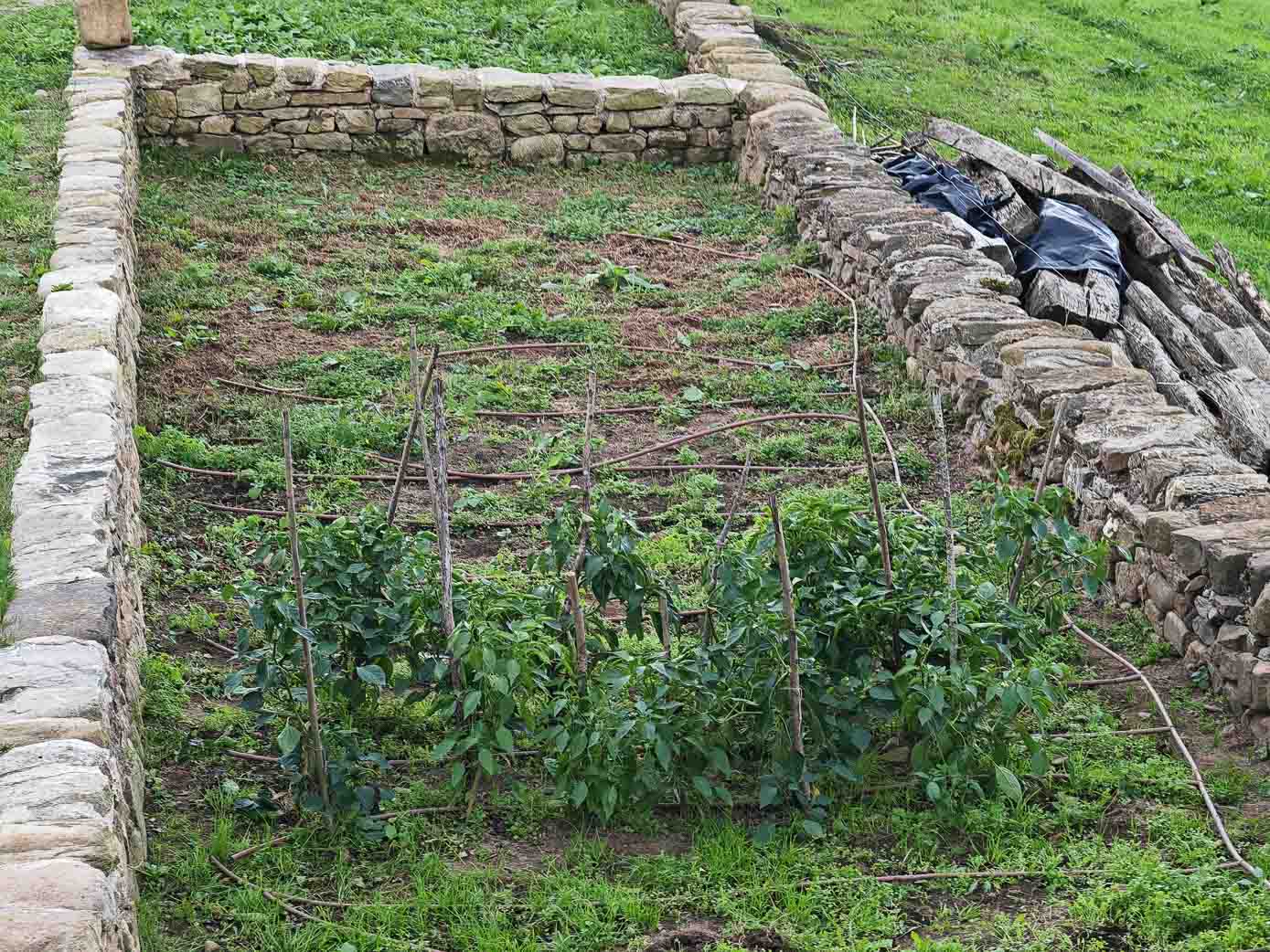 Huerta de la que se abastecen los huéspedes de Cabañas Pax con la verdura de cada temporada.