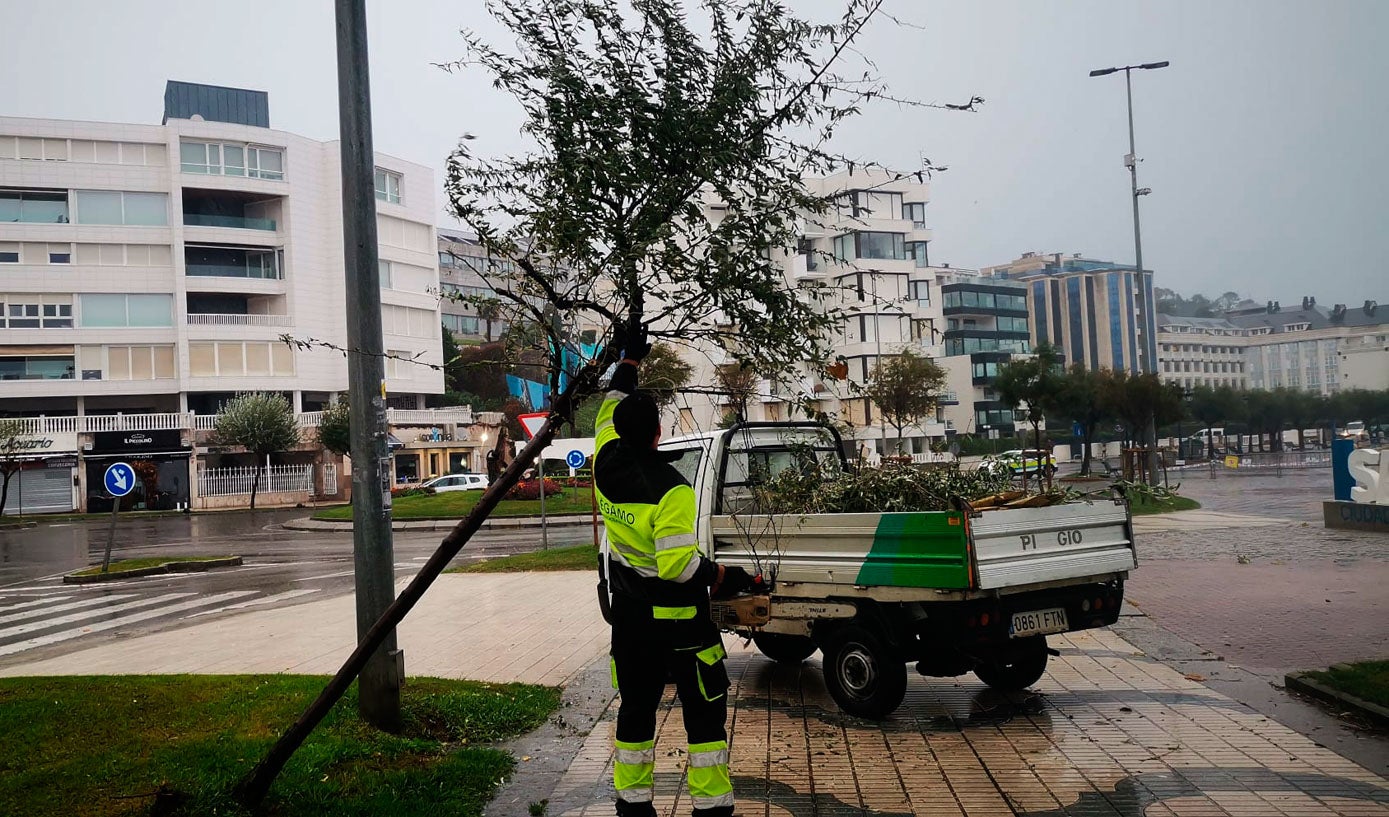 Los servicios municipales de Santander no han parado de trabajar durante toda la mañana recogiendo ramas y tomando medidas con los árboles afectados por el fuerte viento.