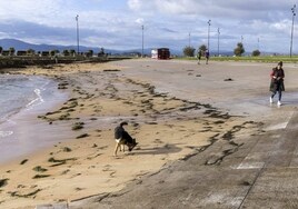 Gamazo, la rampa y la arena