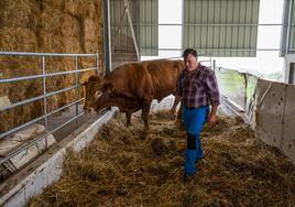 Jesús Ángel Fernández Cobo atiende a Mateo, un toro enfermo. Desde la aparición del brote ha perdido ocho animales.