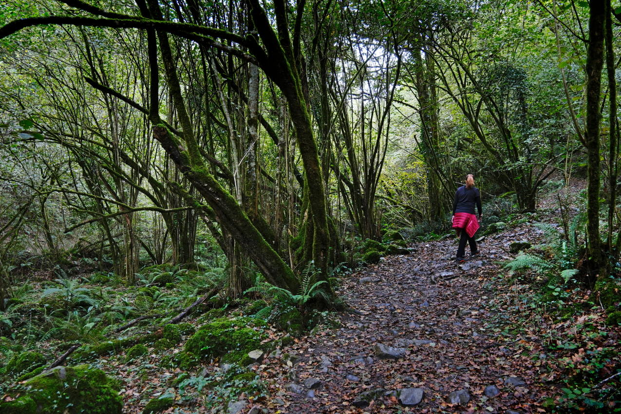 La ruta transcurre en un bello entorno de naturaleza