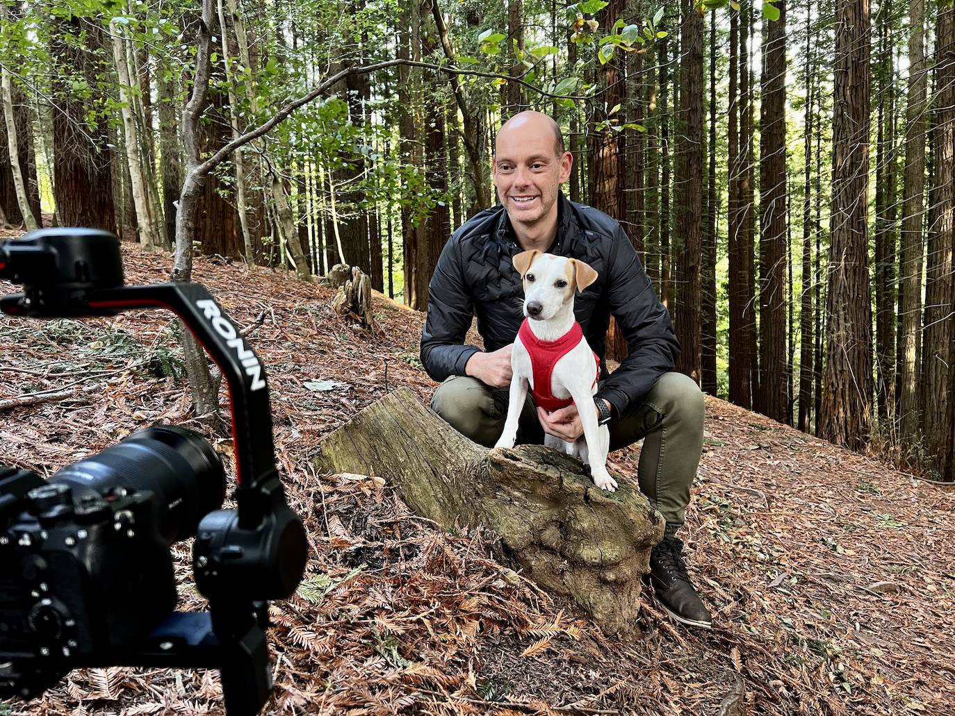 Pablo y Pipper, ante la cámara en el bosque de secuoyas.