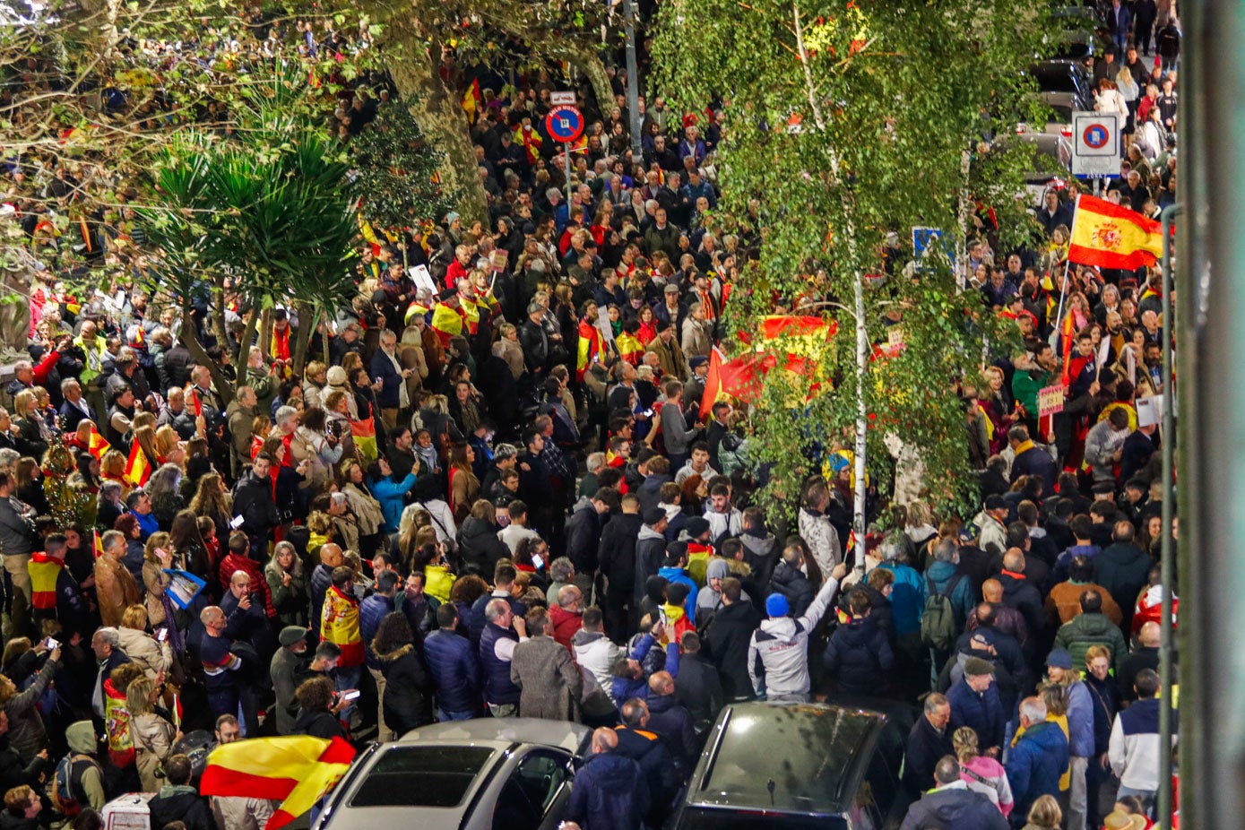 Muchas banderas de España en la protesta