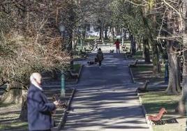 La Mesa de Movilidad urge la ampliación y mejora del parque Manuel Barquín