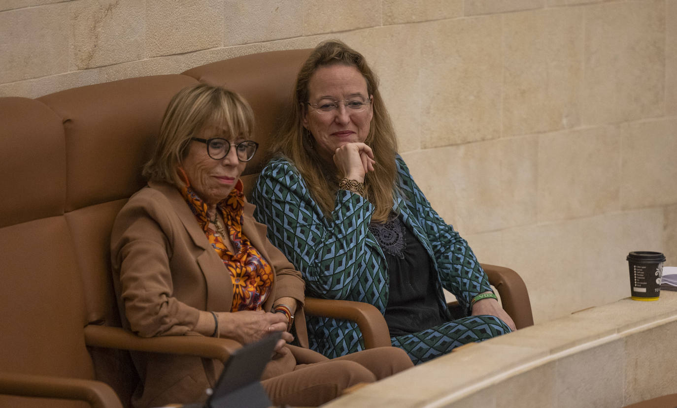 Natividad Pérez y Leticia Díaz, dos de los cuatro diputados de Vox. 