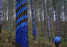 Cuatro paseos para disfrutar del arte de Ibarrola en plena naturaleza