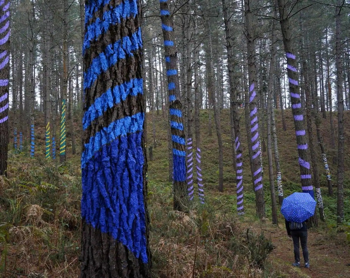 Cuatro paseos para disfrutar del arte de Ibarrola en plena naturaleza