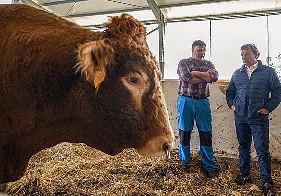 Palencia, en una visita reciente a una ganadería afectada por la enfermedad hemorrágica.