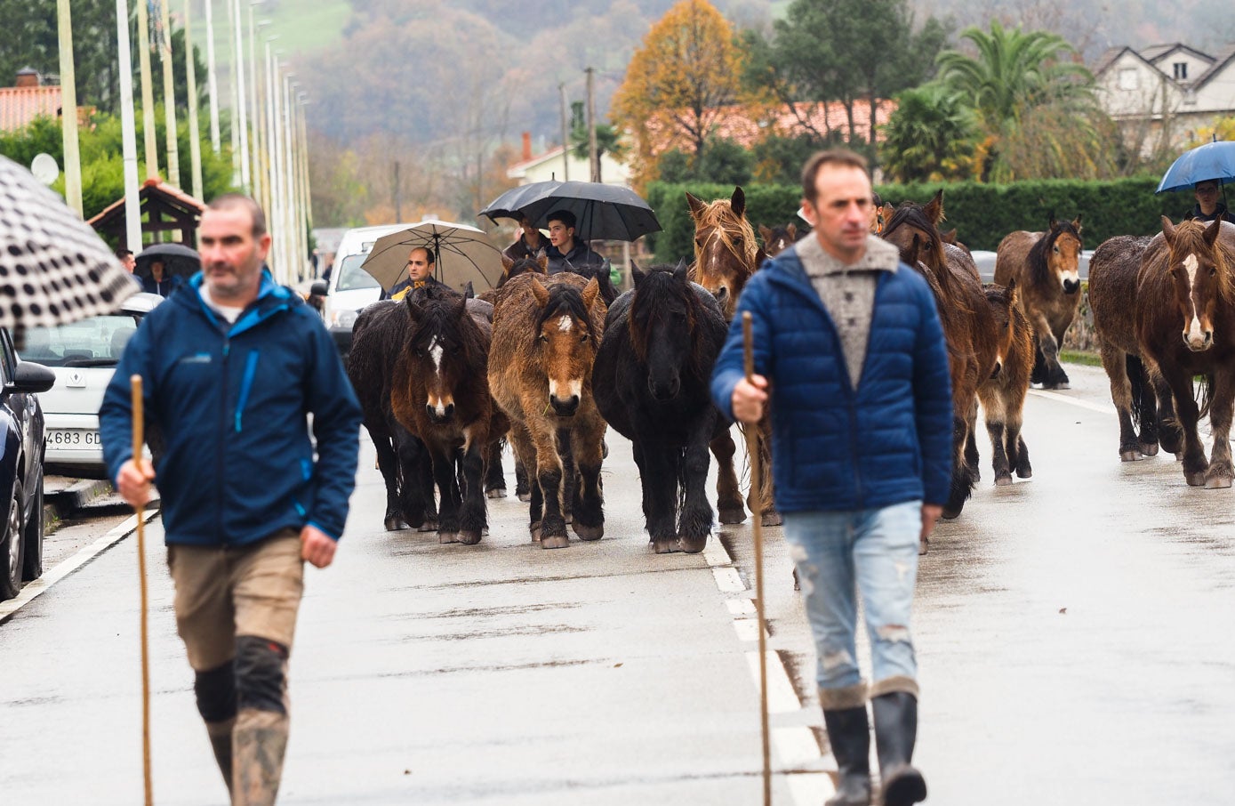 En la concentración también se pudieron ver muchos caballos y yeguas.