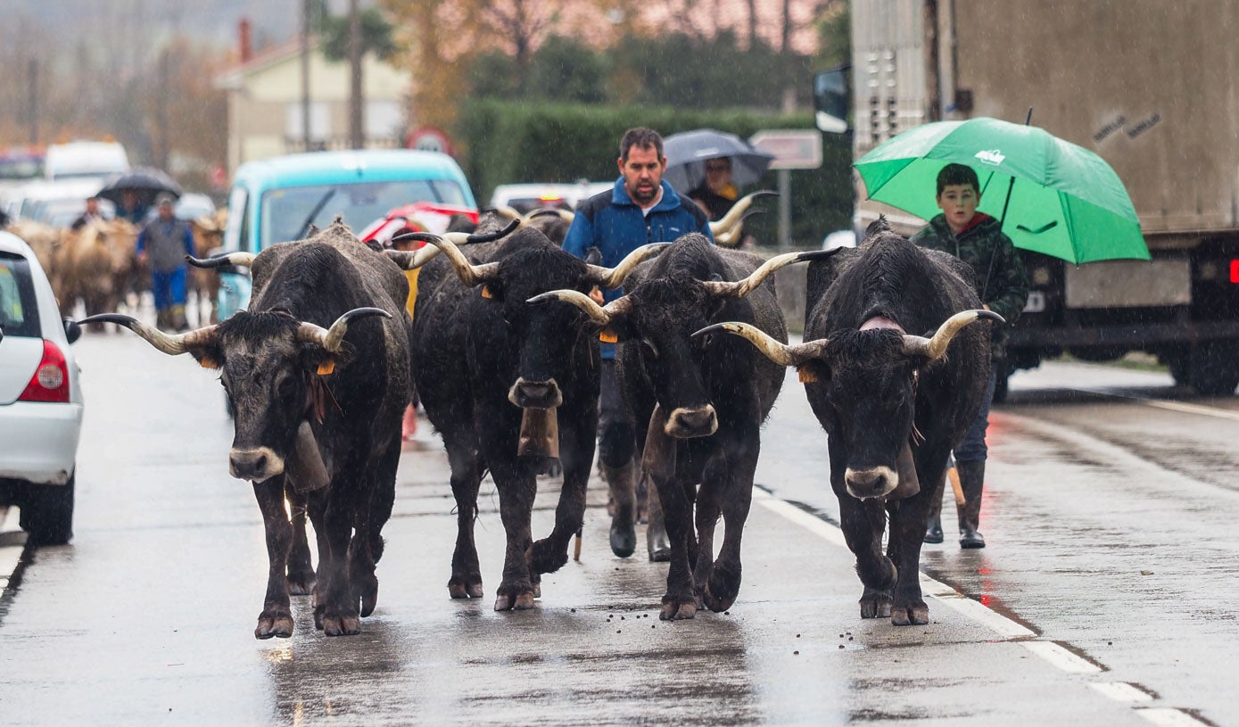 La Feria de Santa Lucía es una se las más antiguas de la región.