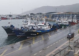 El puerto de Santoña estrenará este viernes iluminación navideña.