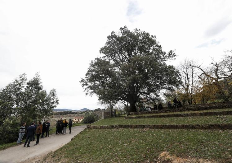 Al fondo, la encina de San Roque