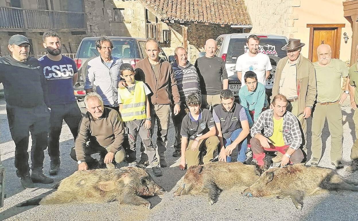 Integrantes de la cuadrilla número 61, dirigida por Pedro Alberto Vejo, con tres jabalíes abatidos en el lote de Fonfría, en la comarca de Liébana, en una cacería celebrada durante la presente temporada. 