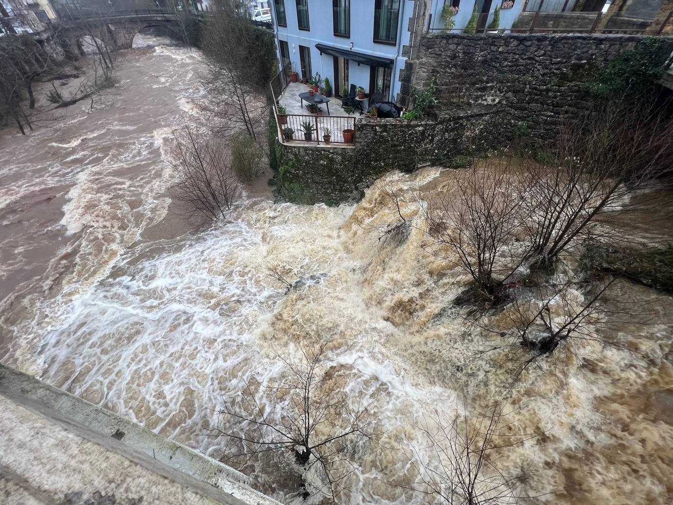 Así baja el río Miera a la altura de La Cavada. Varios cauces de la región están bajo vigilancia por el rápido aumento de sus caudales.