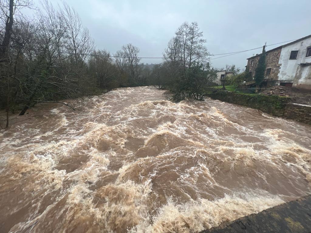 Imagen del río Miera a su paso por La Cavada, bajando con gran fuerza y un caudal en aumento. Este tramo ha alcanzado el 'nivel de seguimiento' en la Confederación Hidrográfica del Cantábrico.