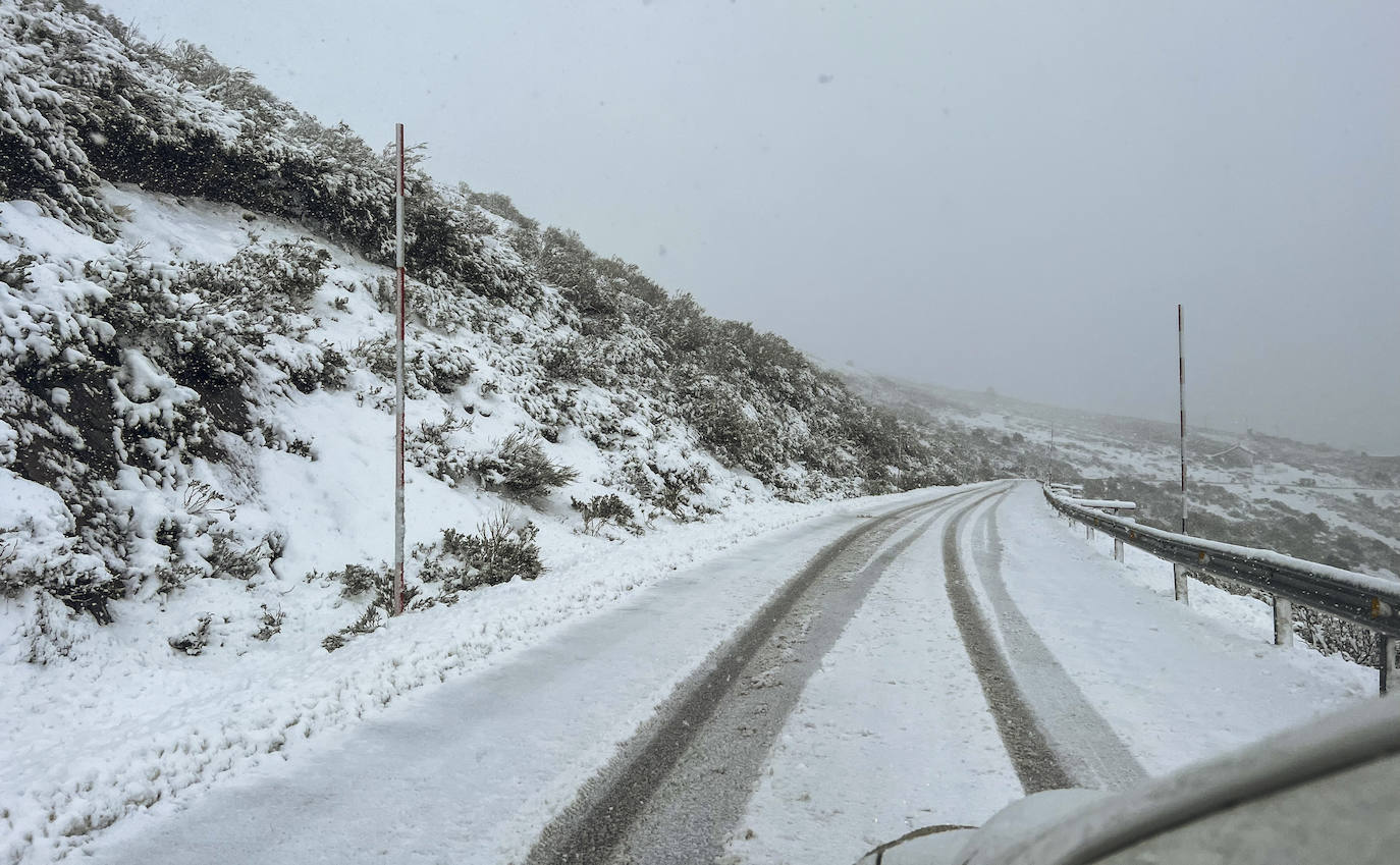 El acceso a la Estación de Altoo Campoo ya presenta un paisaje blanqueado por la nieve.