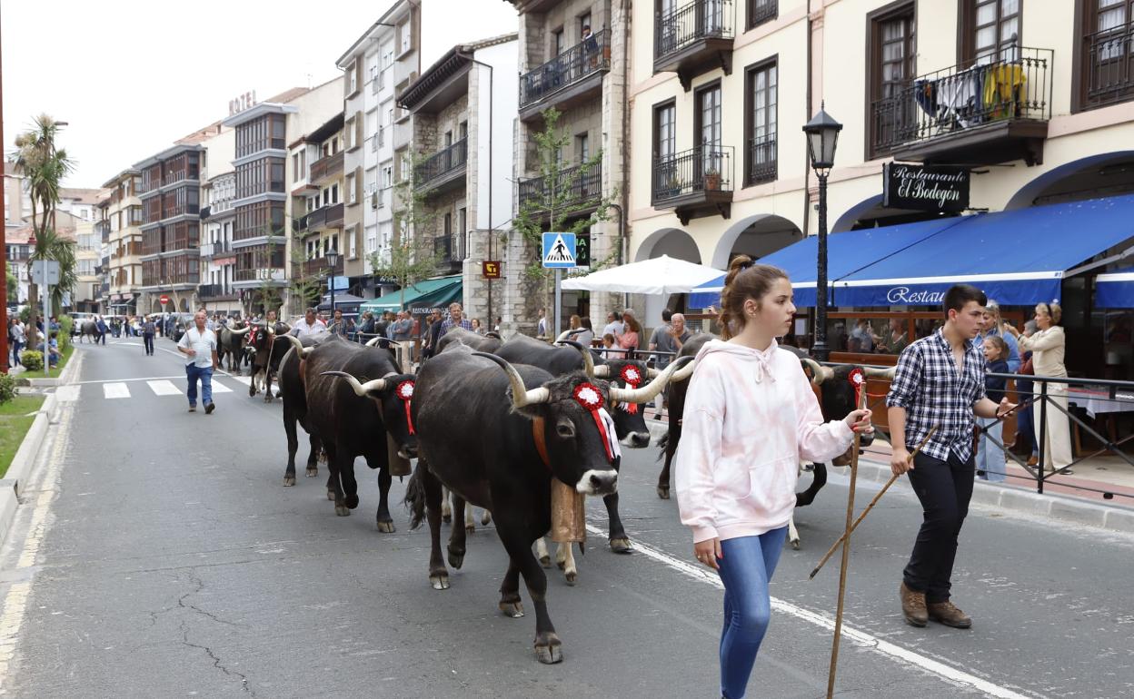 El ganado volverá al centro de la villa que acogerá la feria ganadera en el paseo marítimo