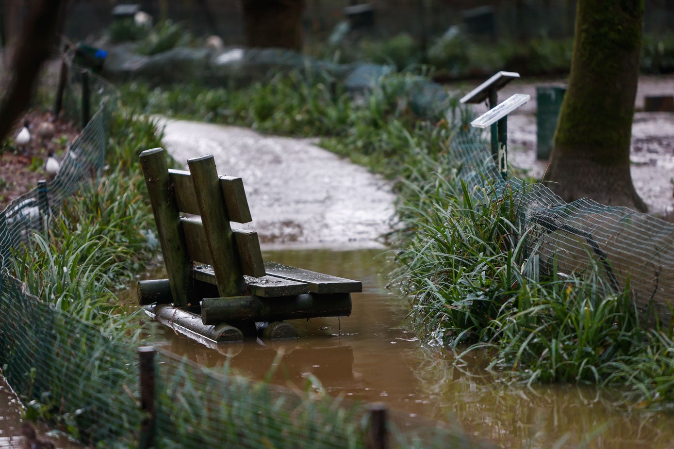 Fotos: Los animales del Zoo de Santillana del Mar sufren las consecuencias de las inundaciones