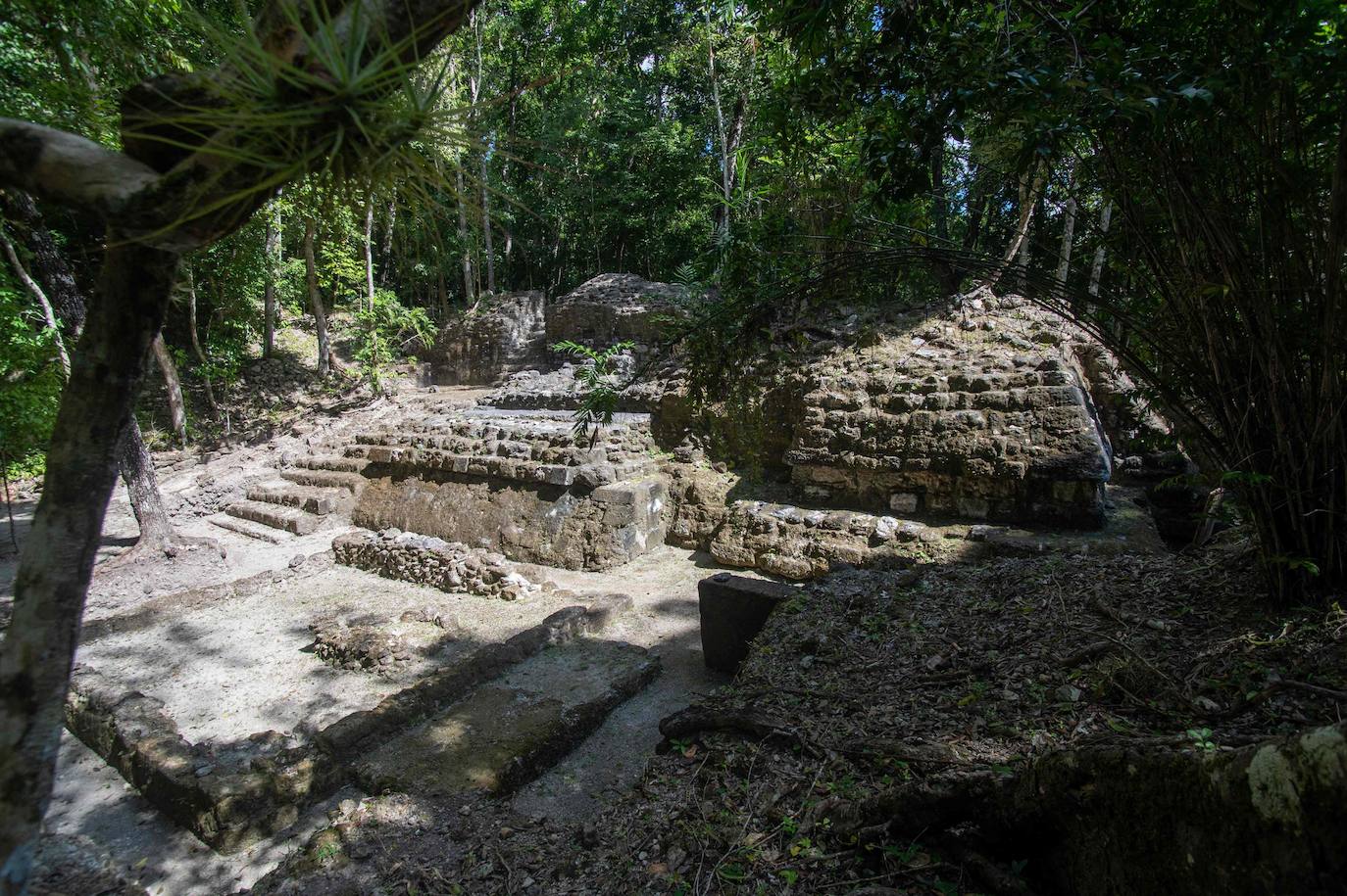 Un grupo de geólogos ha descubierto al norte del país unos restos de la civilización maya que han estado ocultos durante siglos bajo la penumbra de una selva tropical. Entre el vasto manto verde de la selva emerge, entre otras, la cresta de la Danta, una de las pirámides más grandes del mundo ubicada en la megaciudad maya El Mirador