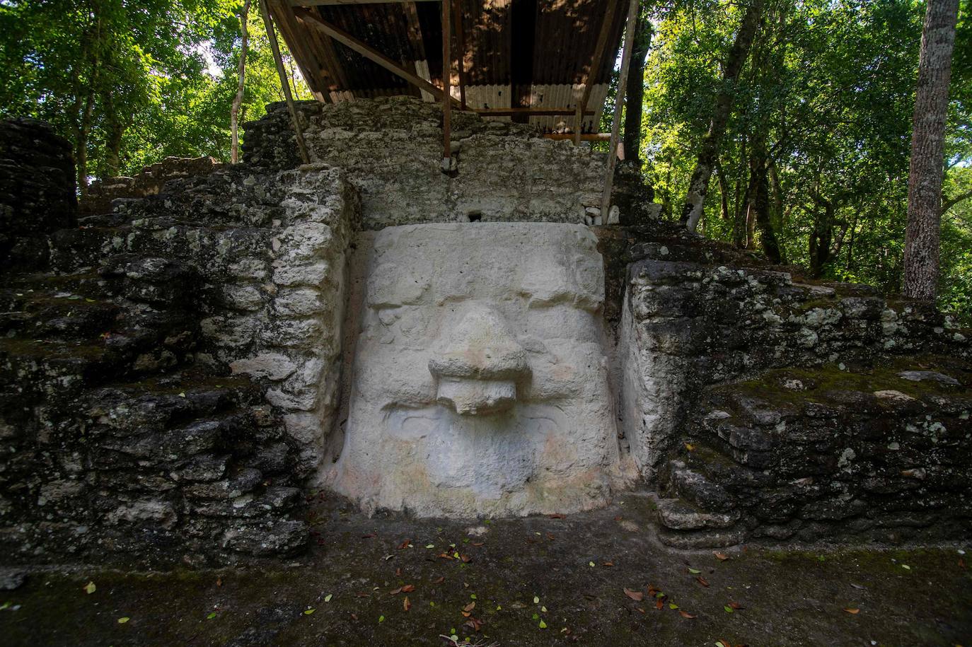 Un grupo de geólogos ha descubierto al norte del país unos restos de la civilización maya que han estado ocultos durante siglos bajo la penumbra de una selva tropical. Entre el vasto manto verde de la selva emerge, entre otras, la cresta de la Danta, una de las pirámides más grandes del mundo ubicada en la megaciudad maya El Mirador