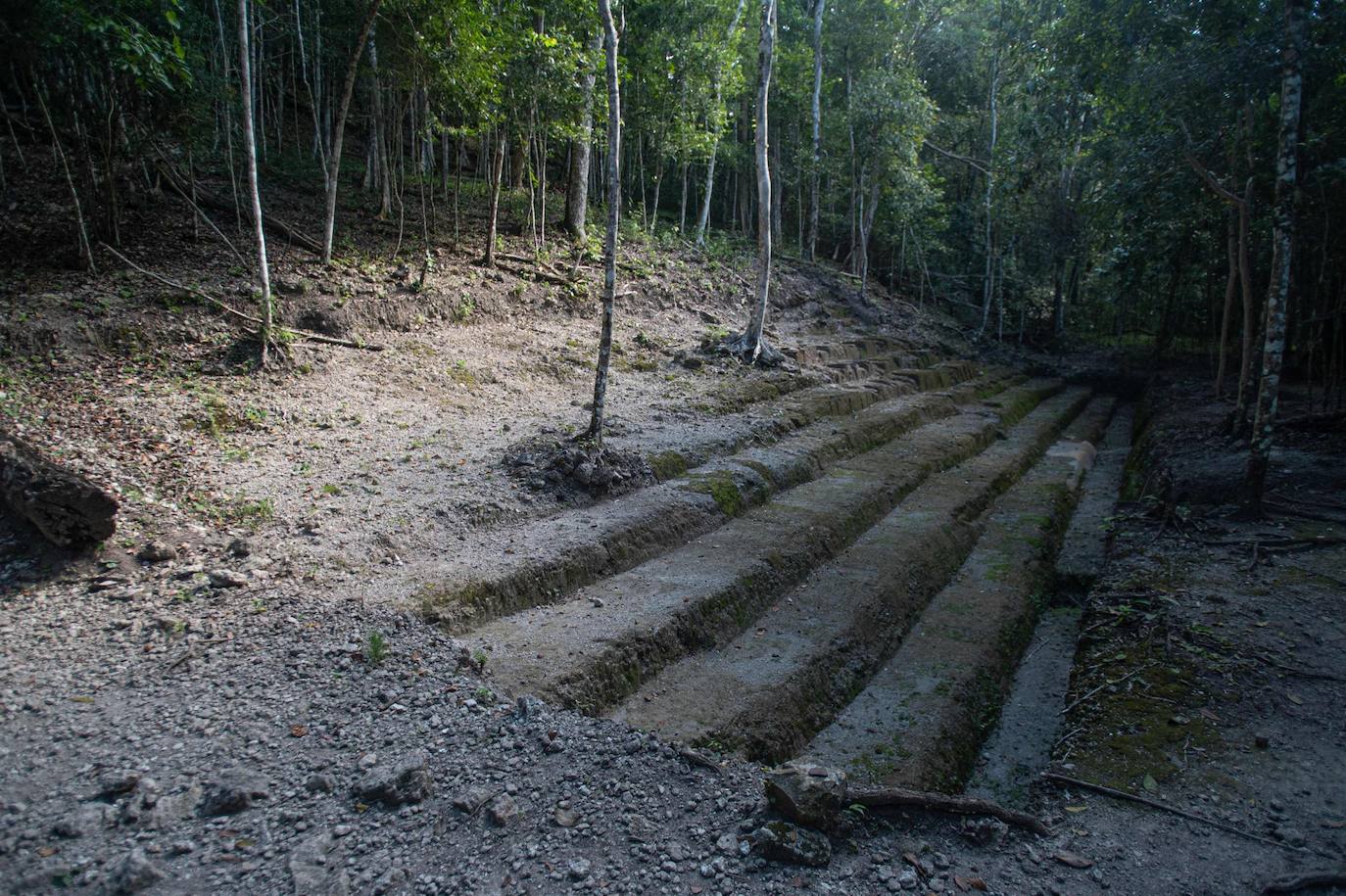 Un grupo de geólogos ha descubierto al norte del país unos restos de la civilización maya que han estado ocultos durante siglos bajo la penumbra de una selva tropical. Entre el vasto manto verde de la selva emerge, entre otras, la cresta de la Danta, una de las pirámides más grandes del mundo ubicada en la megaciudad maya El Mirador