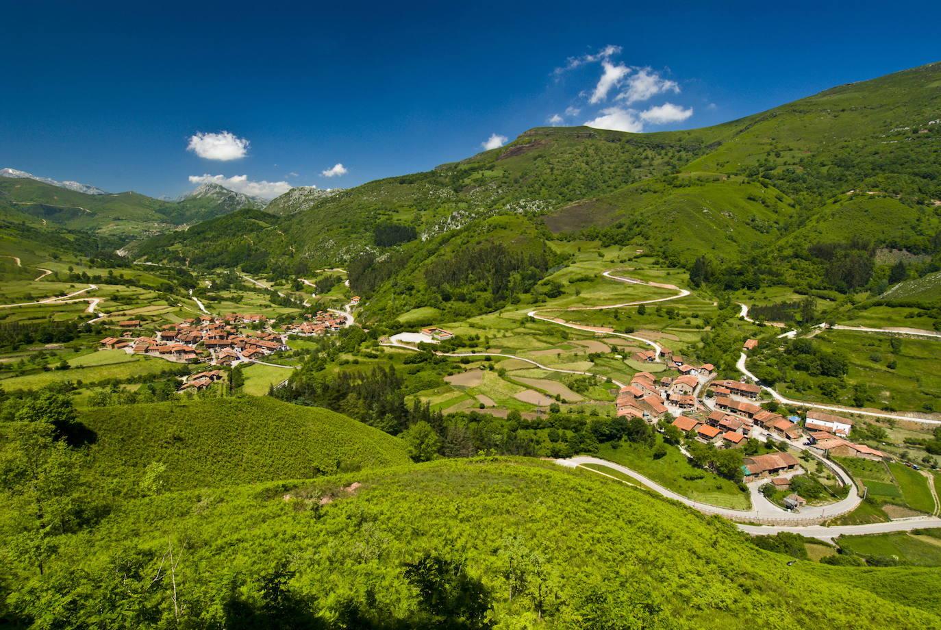 La Reserva del Saja.