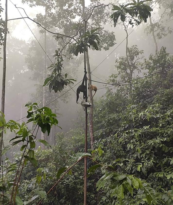 Imagen secundaria 2 - Imágenes de los incendios que asolan la zona en la que trabaja Iván.