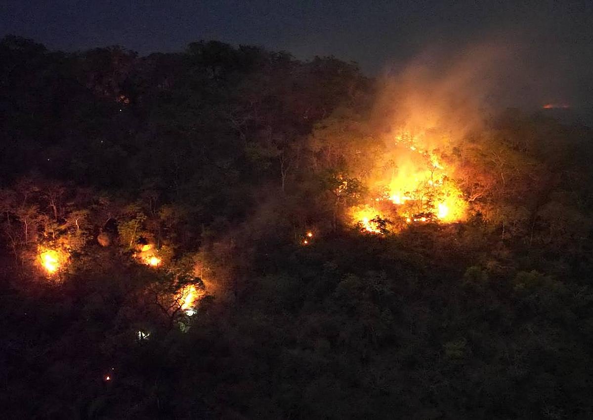 Imagen secundaria 1 - Imágenes de los incendios que asolan la zona en la que trabaja Iván.