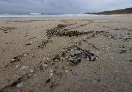 Playa en A Coruña, Galicia, repleta de bolitas de microplástico.