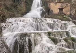 Así fluye estos días la Cascada de Orbaneja del Castillo.