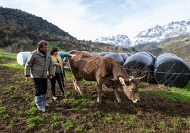 El consejero junto a la ganadera Conchi Llanes, en su exploración de Villagloria.