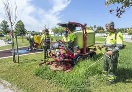 Dos empleados de la anterior UTE adjudicataria del servicio de Parques y Jardines, en El Alisal.