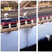 La Guardia Civil identifica al joven, de 23 años, que saltó a la ría desde un coche en marcha