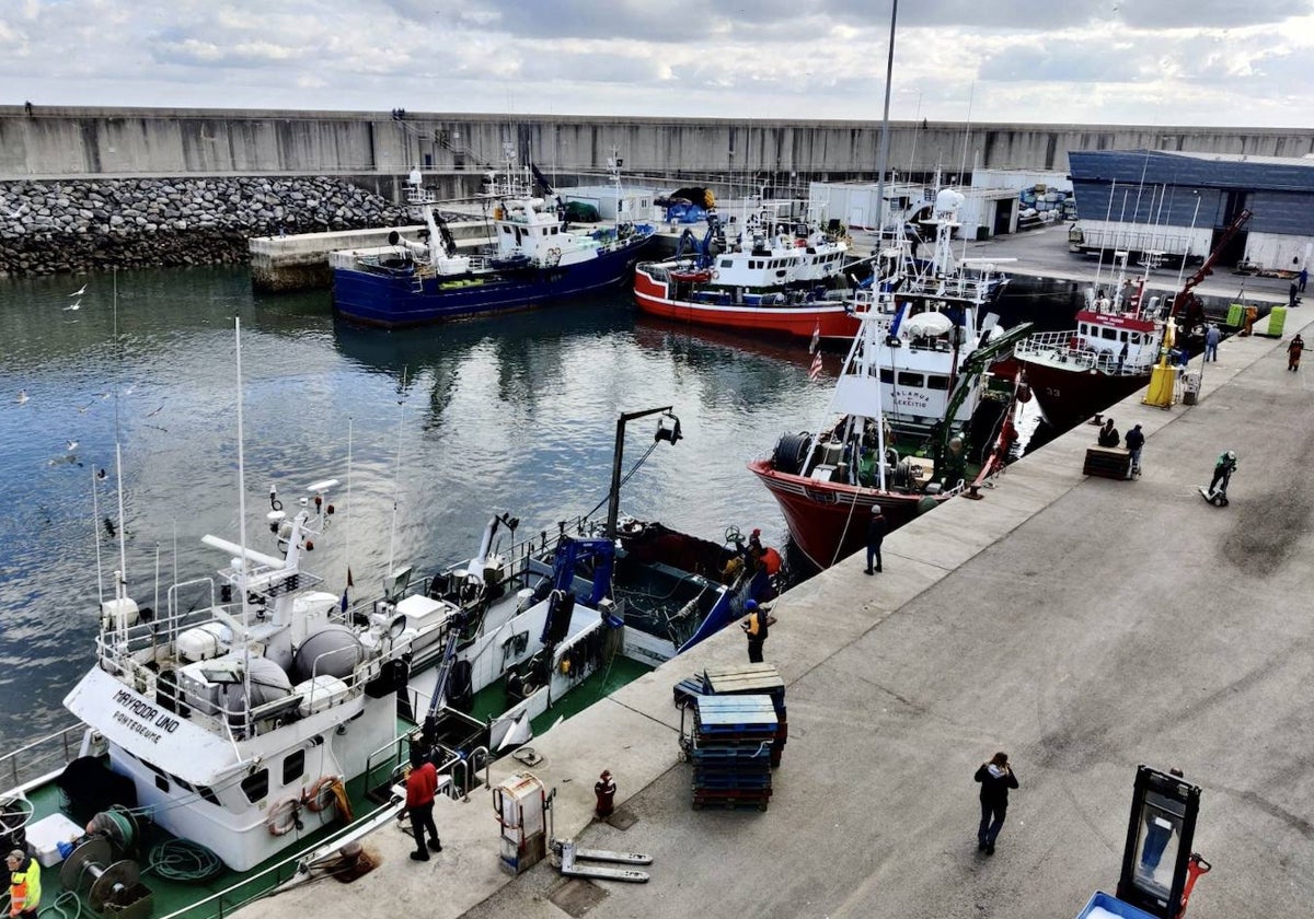 Actividad en el puerto de Laredo.