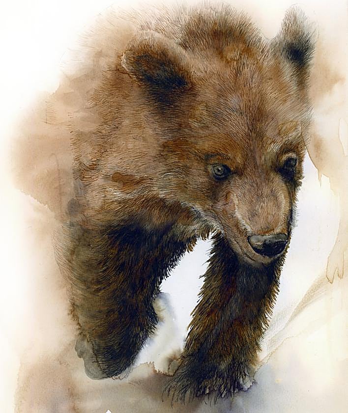 Imagen secundaria 2 - La &#039;Tinta salvaje&#039; de un cuaderno de campo