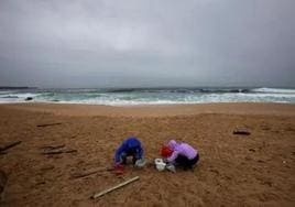 Los pélets recogidos en las playas de Cantabria no llegan a los tres kilos