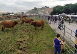 El recinto ferial en el aparcamiento de la playa de Merón estuvo muy animado durante toda la jornada.