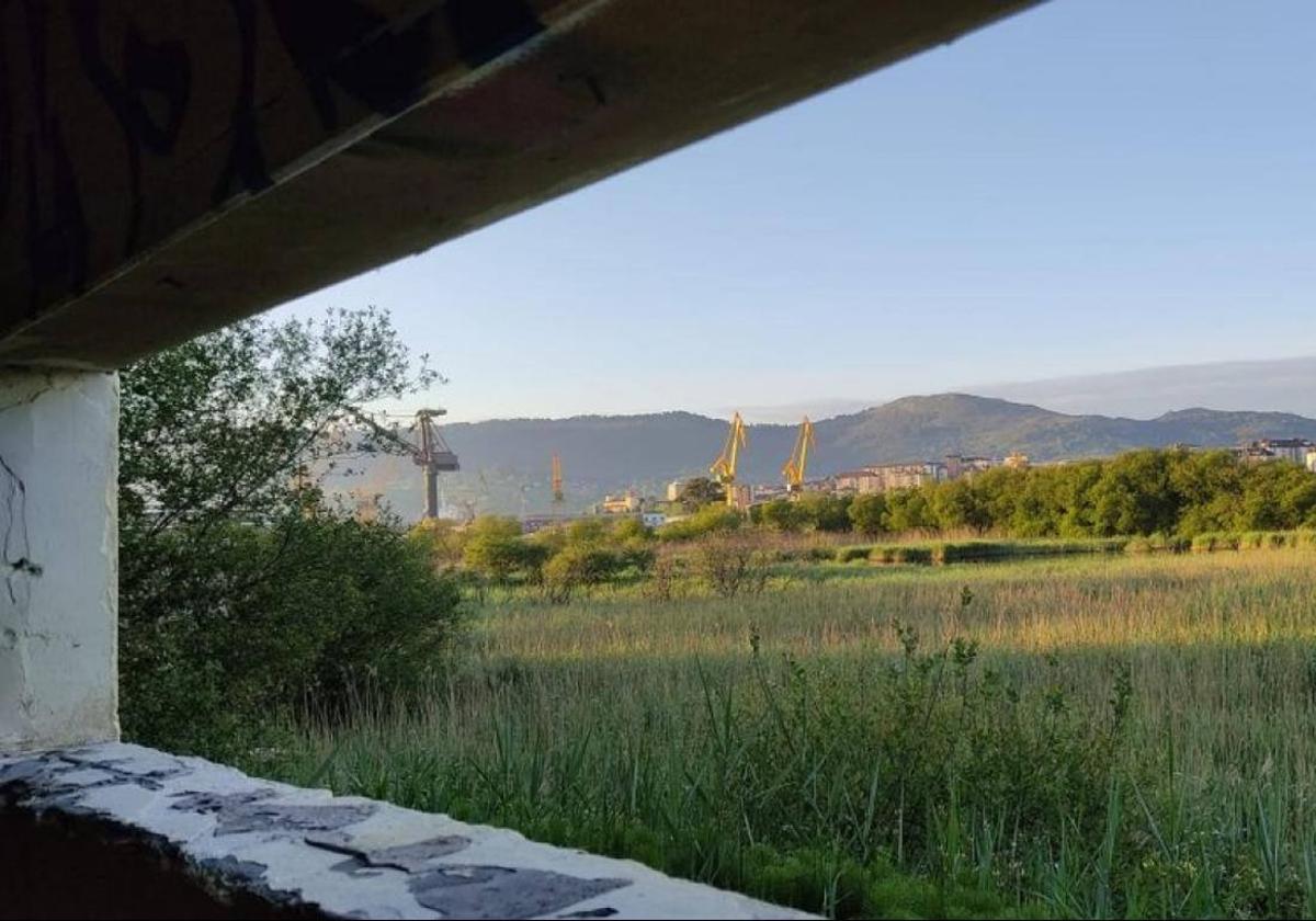 Vista de las marismas con El Astillero al fondo.