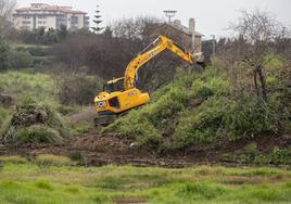 Una máquina trabaja estos días en la vaguada de Las Llamas, en Santander, retirando plumeros (amontonados a la izquierda).