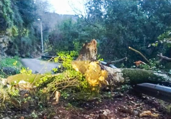 Desprendimiento en la carretera entre Rudagüera y Lloredo que ha sido cortada de nuevo recientemente.