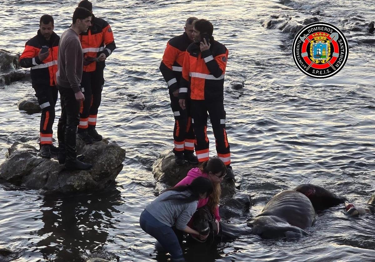 Dos mujeres sujetan la cabeza del caballo herido entre las rocas de La Maruca.