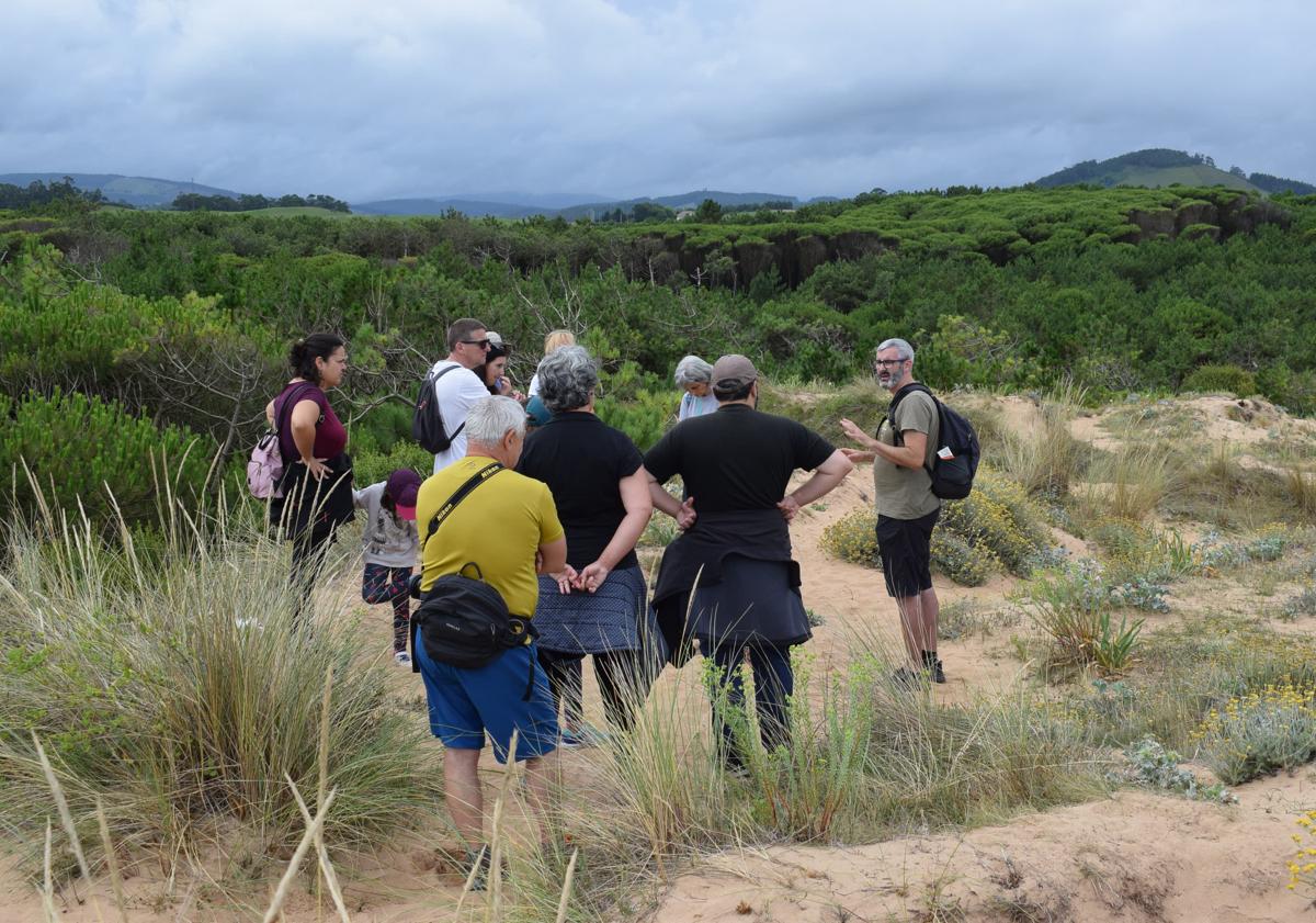 Imagen principal - La ruta guiada sobre las orquídeas silvestres vuelve a Liencres este sábado