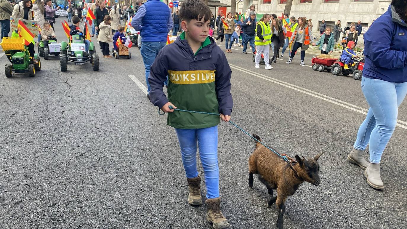 Un niño llega con una cabra a la Delegación del Gobierno. 