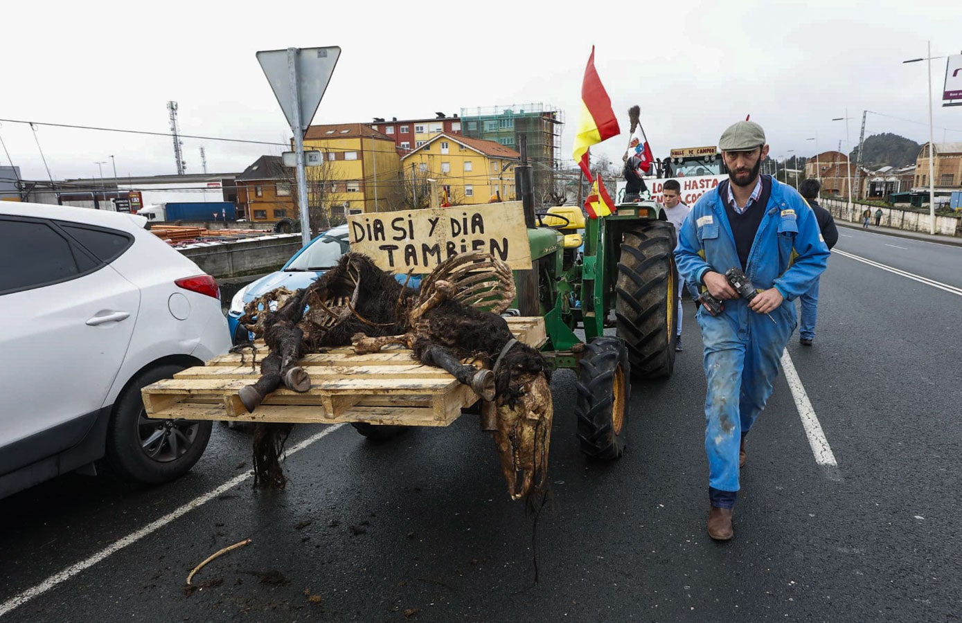 Uno de los primeros tractores transporta un potro muerto atacado por un lobo.