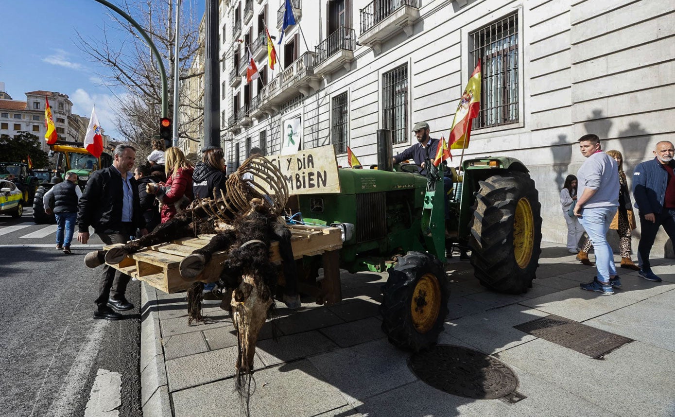 Un potro muerto por un ataque de lobos iba en la cabeza de la manifestación. 