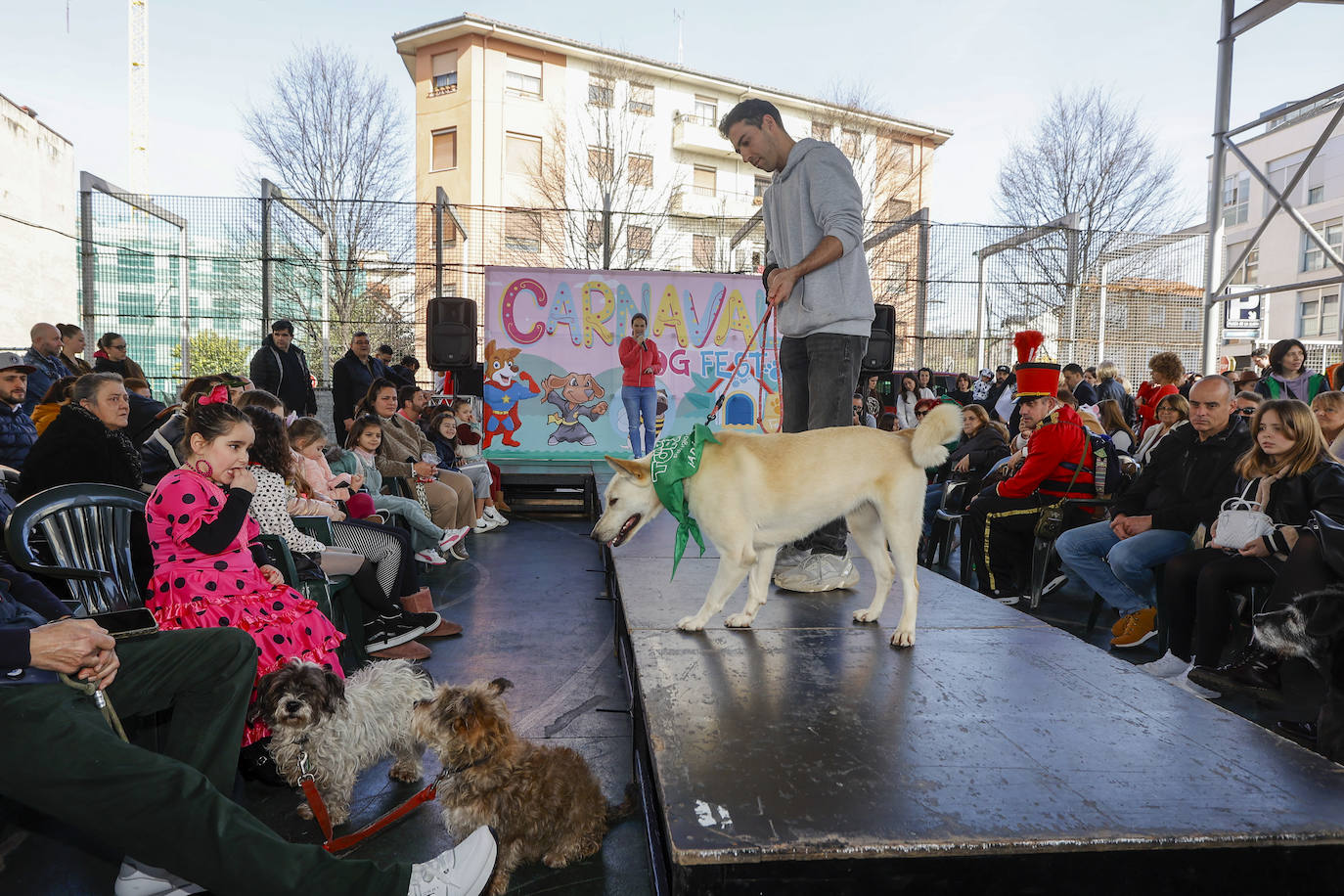 Los perros se unen al Carnaval y desfilan en Torrelavega