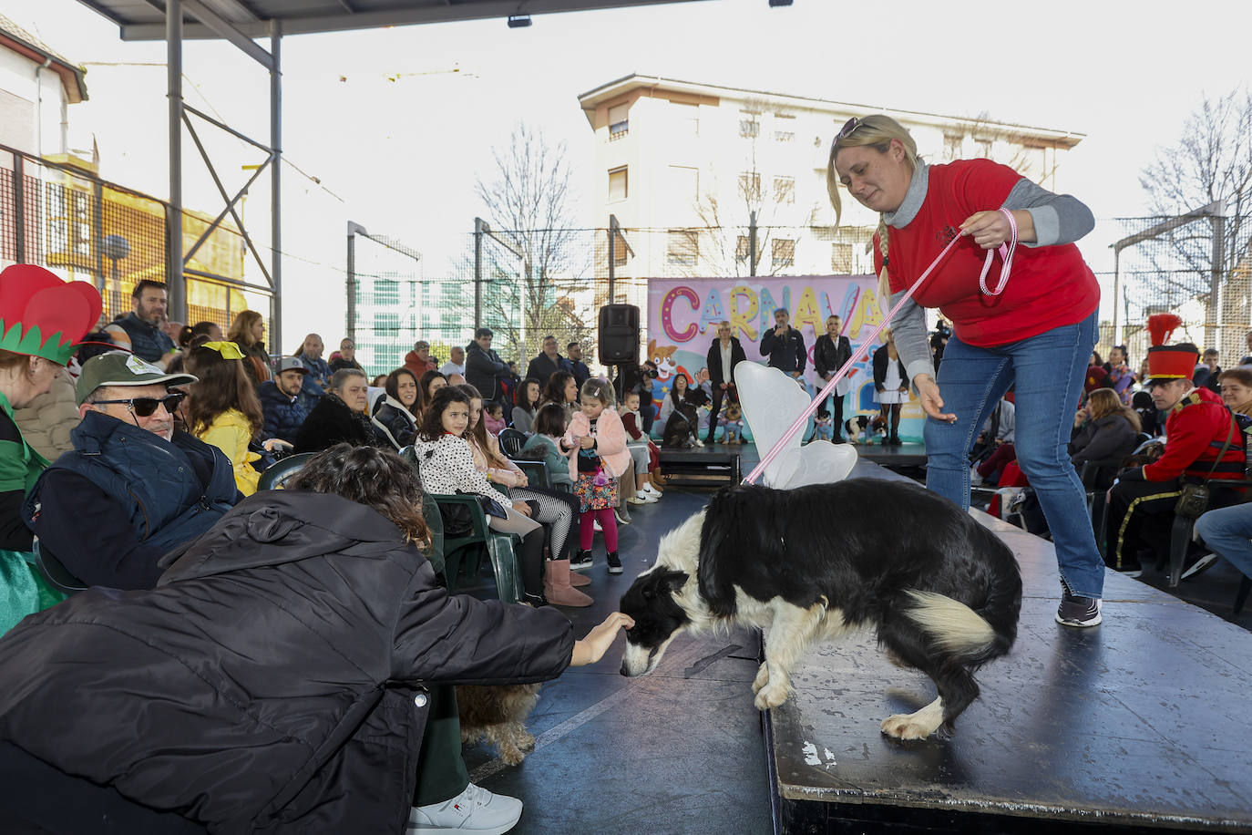 Los perros se unen al Carnaval y desfilan en Torrelavega